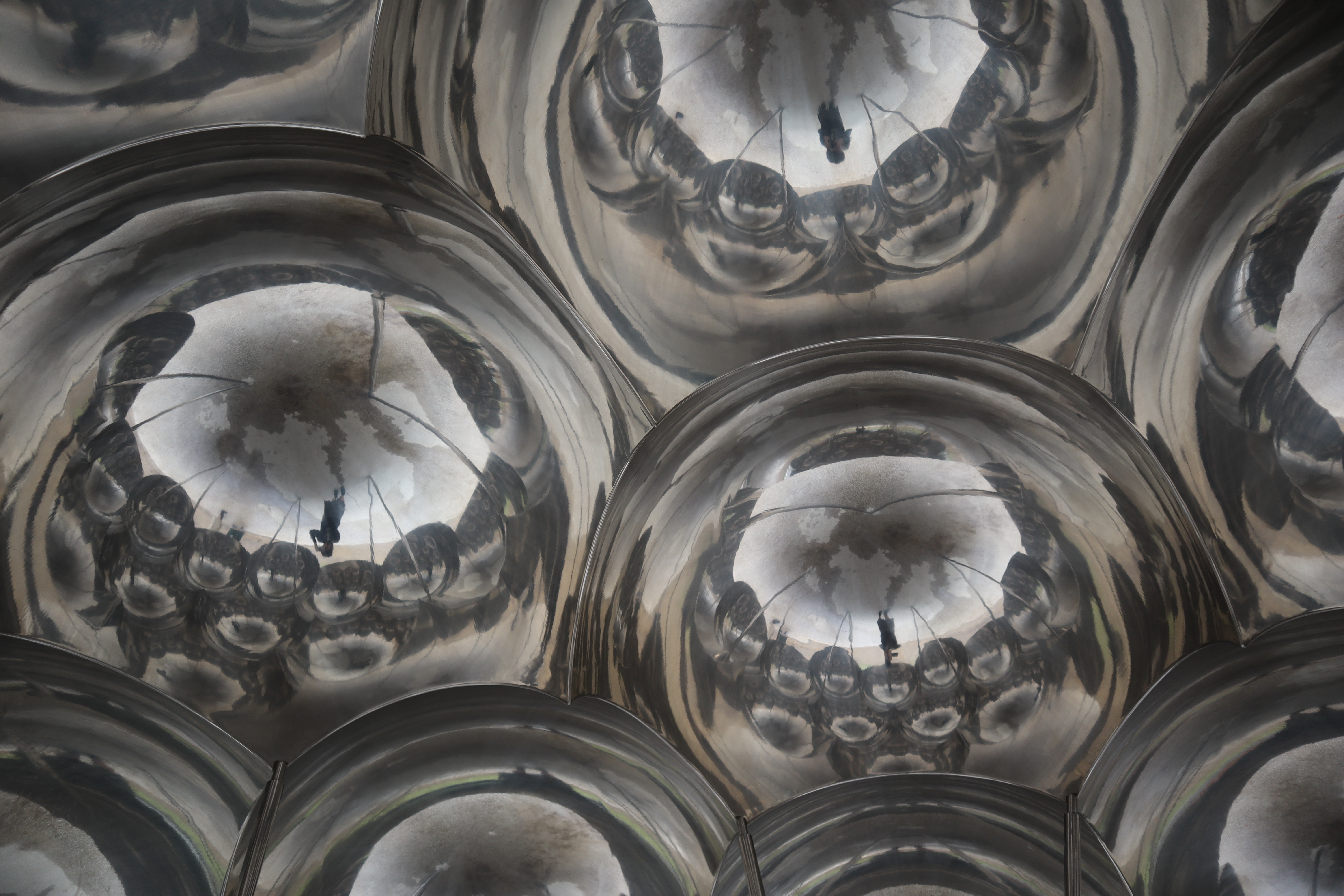 ゾウショクチュウ　pc